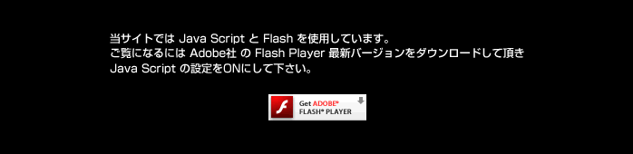 Flash Player