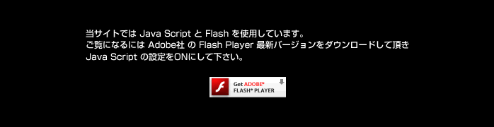 Flash Player